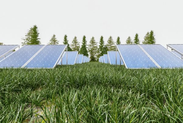 solar energy in agriculture